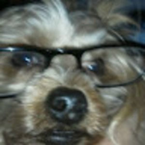 Meet your Posher, Scott